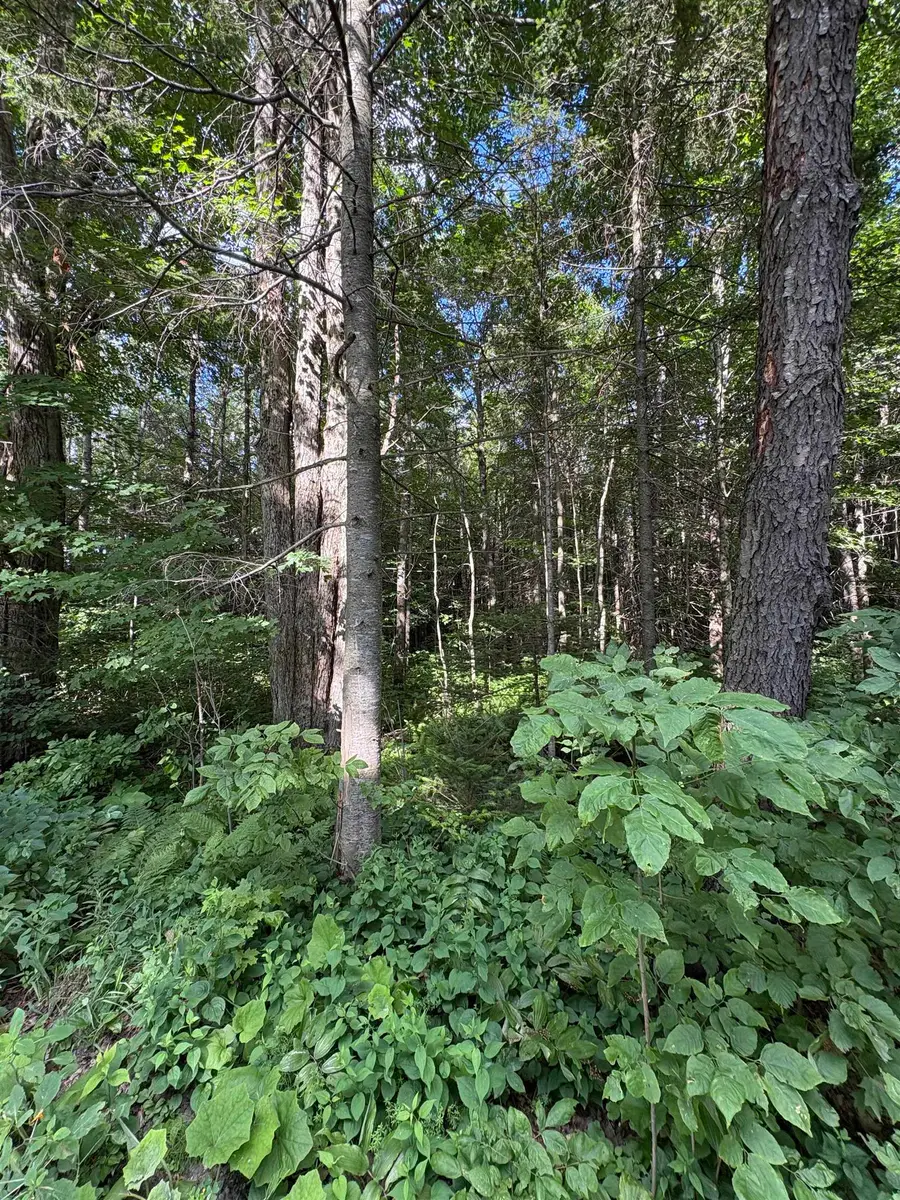 Partridge Lane, Danville, VT 05828 - Image #3