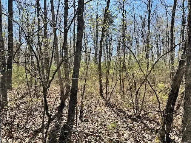 15 South Bow Dunbarton Road #40-A, Bow, NH 03304 - Image #3