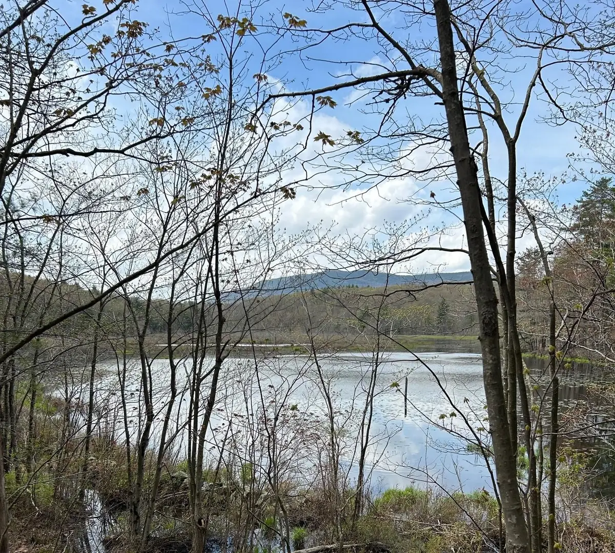 00 Windmill Hill Road #Map 3 Lot 62B, Dublin, NH 03444 - Image #1