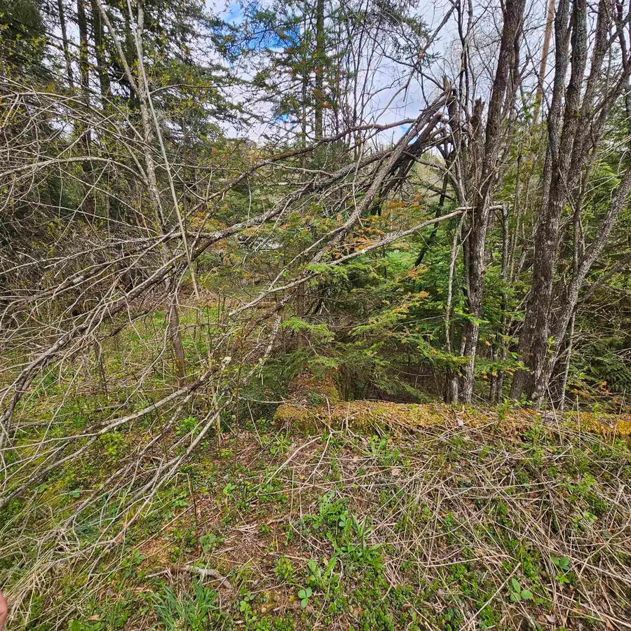 3839 US Route 5, Sutton, VT 05867 - Image #3