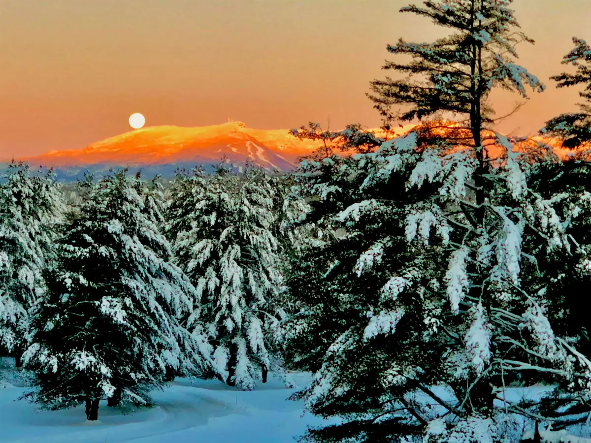 103 Foxfire Lane, Stowe, VT 05672 - Image #1