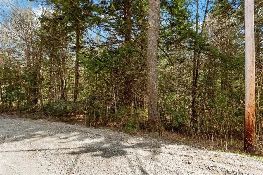 L40 Boardman Loop, Wardsboro, VT 05355 - Image #3