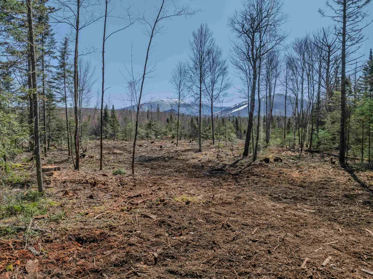 000 Easton Road, Franconia, NH 03580 - Image #1