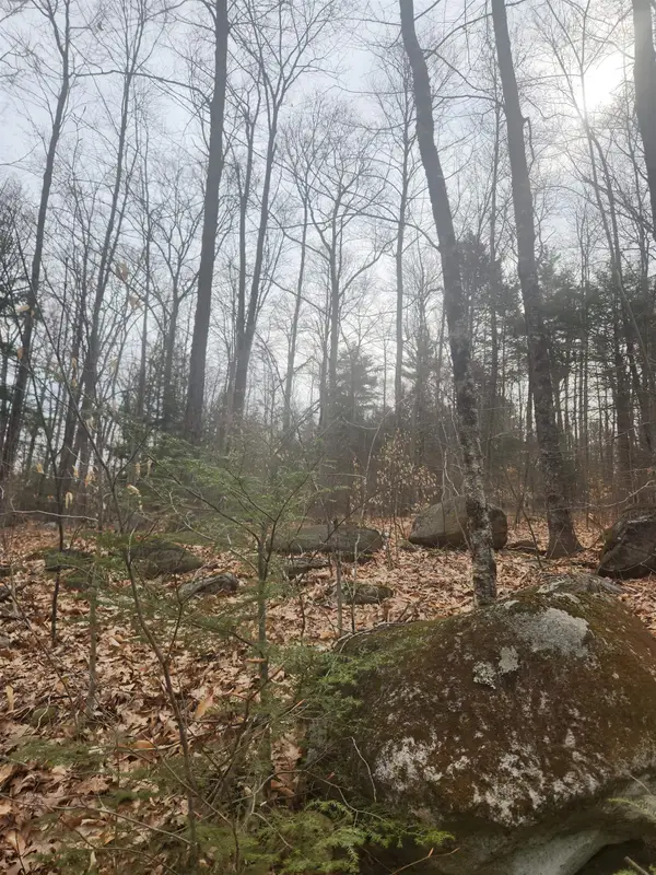 0 Attleboro Mountain Road, Richmond, NH 03470