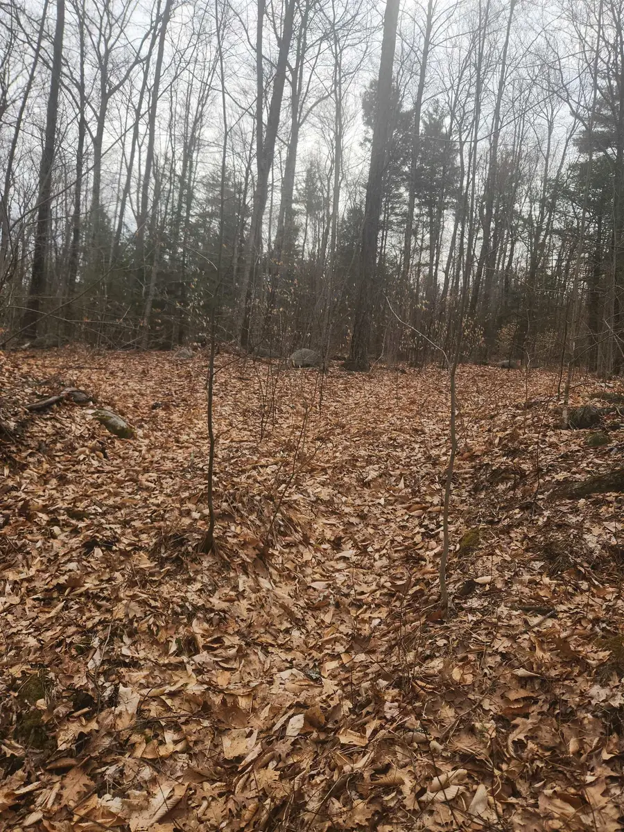 0 Attleboro Mountain Road, Richmond, NH 03470 - Image #2