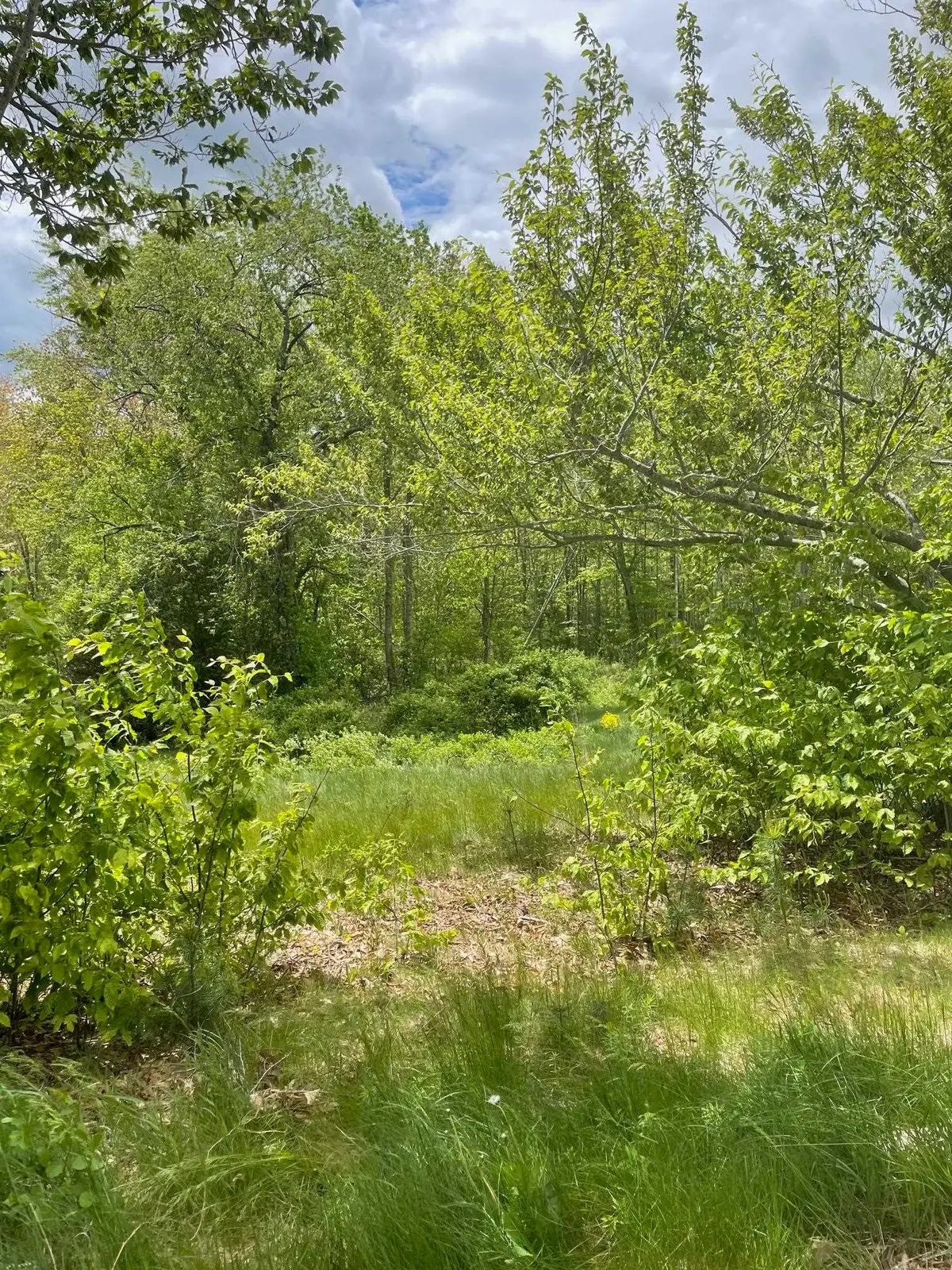 00 Lovell Road, Stratham, NH 03885 - Image #1