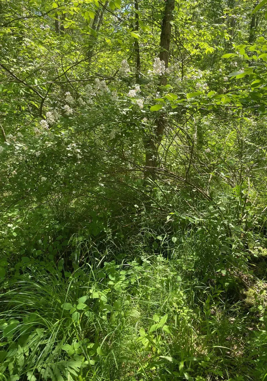 00 Lovell Road, Stratham, NH 03885 - Image #3