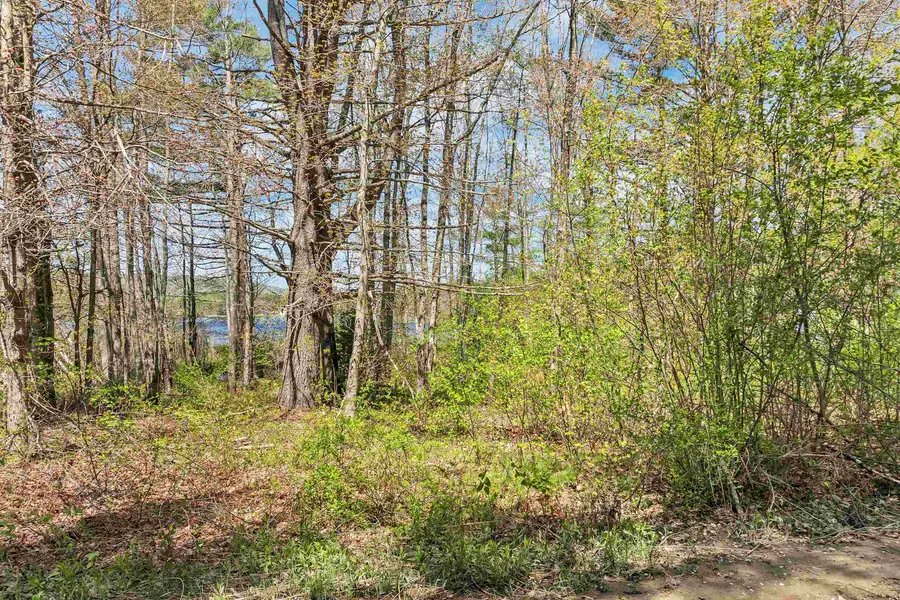 Lot 17 Baxter Place, Alton, NH 03809 - #3