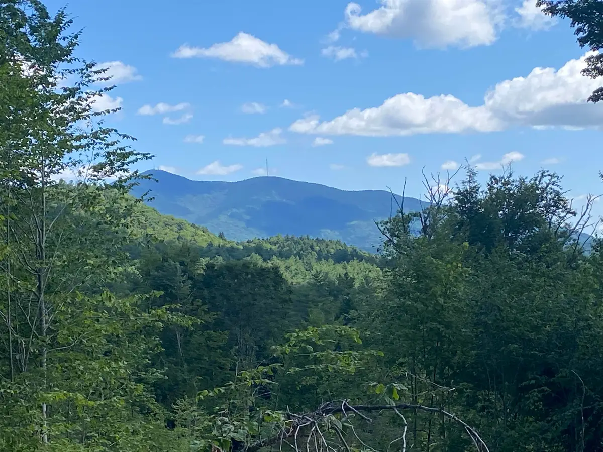 00 Grout Road, Perkinsville, VT 05153 - Image #1