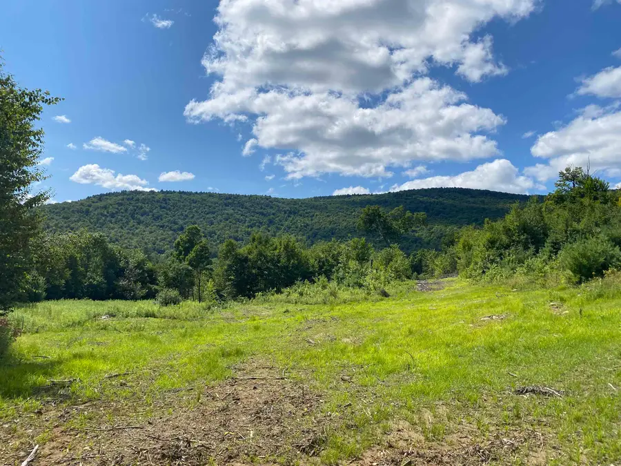 00 Grout Road, Perkinsville, VT 05153 - Image #2