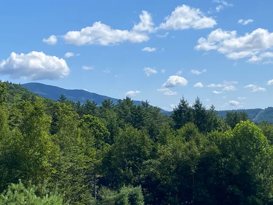 00 Grout Road, Perkinsville, VT 05153 - Image #3