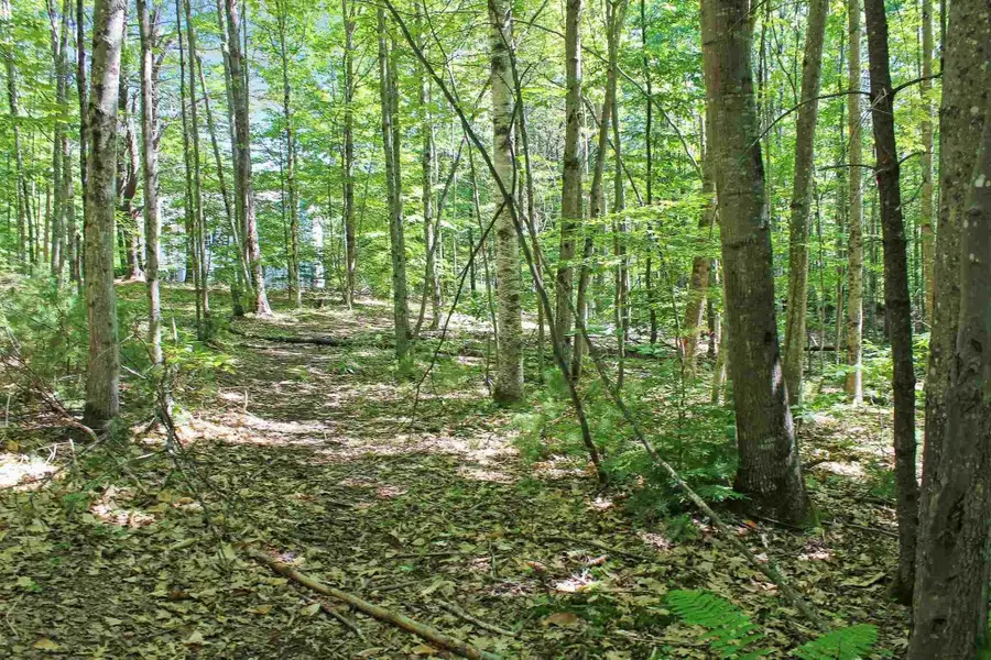 4 John Terrace, Ossipee, NH 03864 - Image #3