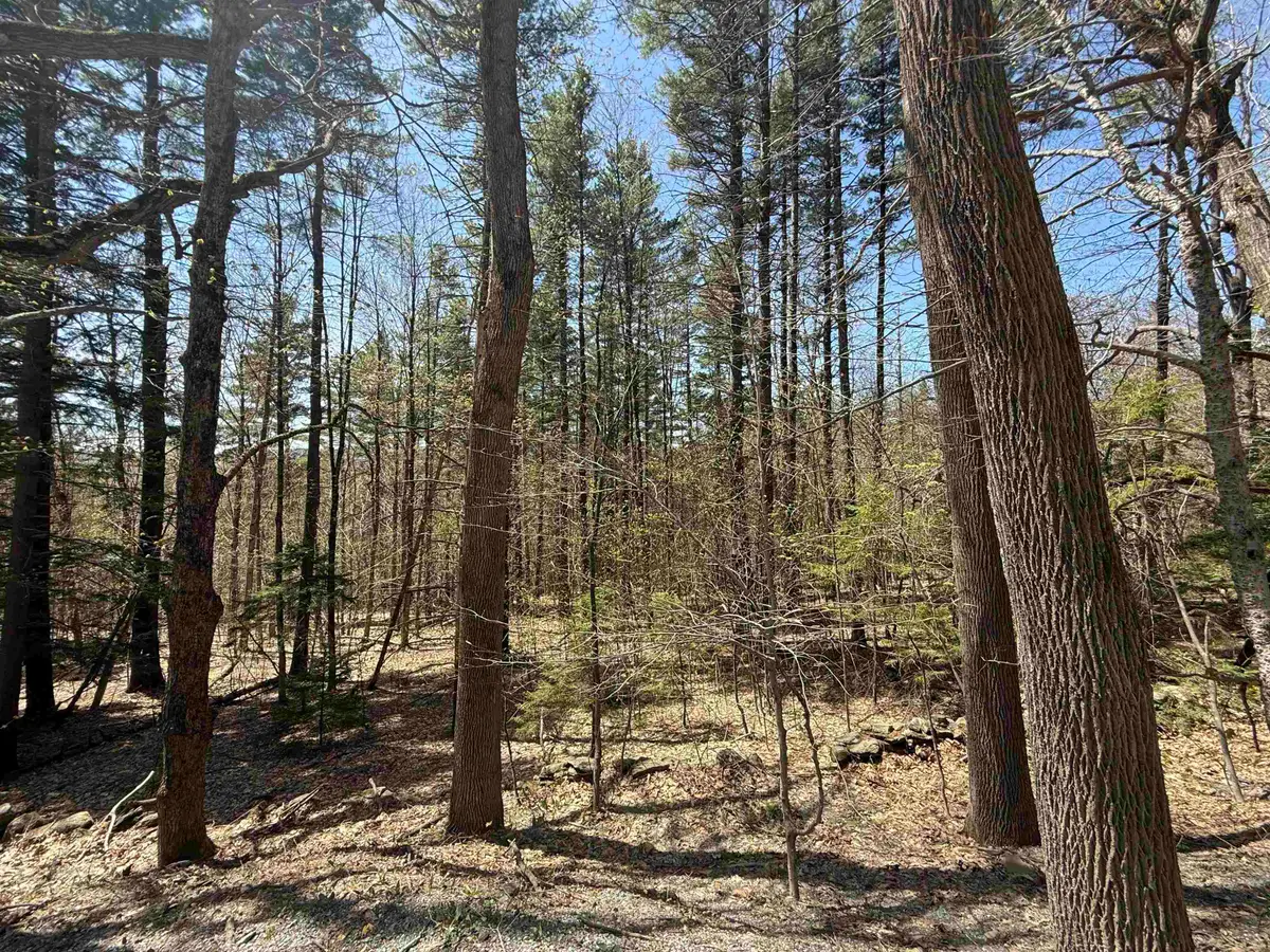Lot 3 North Street #45, East Dover, VT 05431 - Image #1