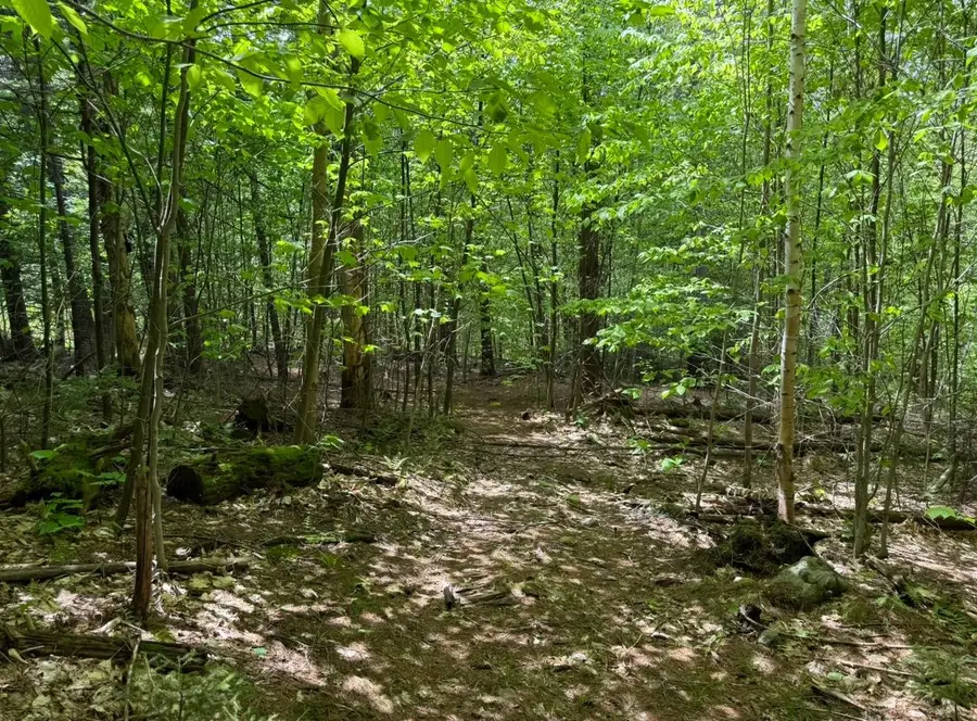 Lot 3 North Street #45, East Dover, VT 05431 - Image #2