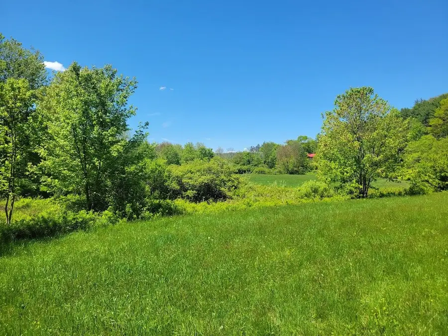 Lot91 Eastern District Road, Danbury, NH 03230 - Image #2