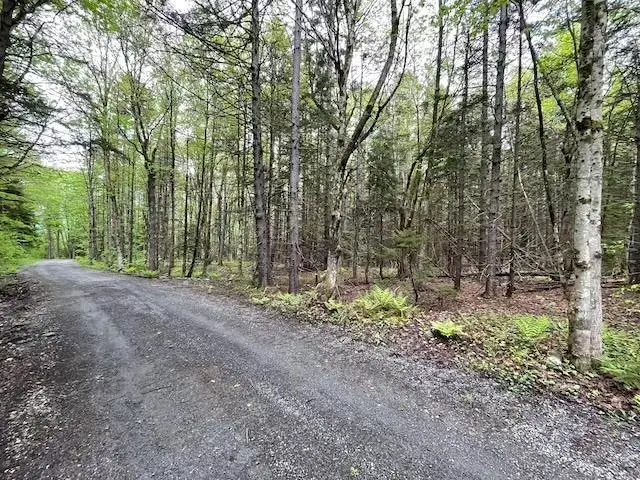 0 Honeycomb Hill, Marlboro, VT 05344 - Image #3