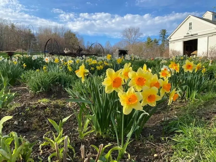 24 White Brook Drive, Sullivan, NH 03445 - Image #3