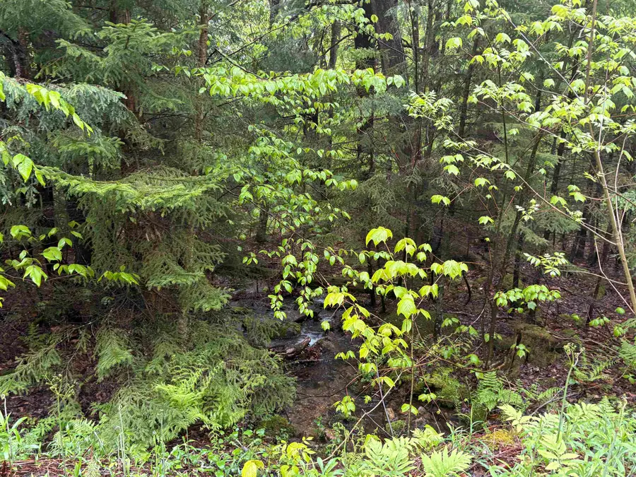 0 Bergrucken Lane #6-377, Stamford, VT 05352 - Image #2