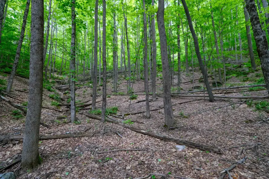 0 East Ash Road, Plymouth, VT 05056 - Image #3