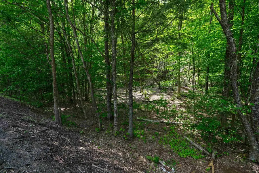 0 Route 100 N, Plymouth, VT 05056 - Image #2