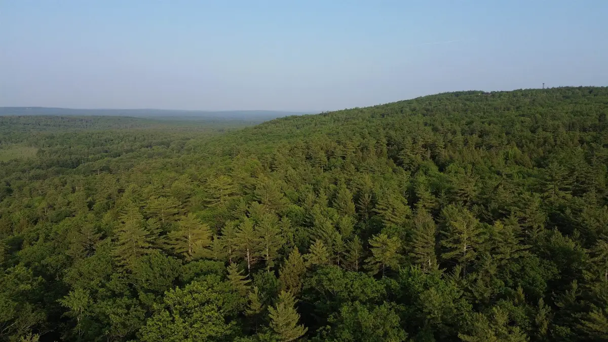 176 Valley Road, New Durham, NH 03855 - Image #1