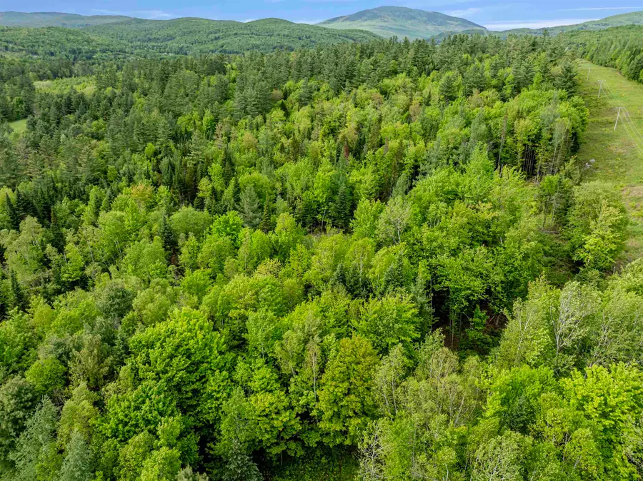 Lot 3 Off US Route 3, Columbia, NH 03576 - Image #3