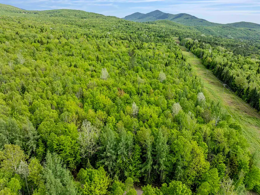 Lot 8 Off US Route 3, Columbia, NH 03576 - Image #3