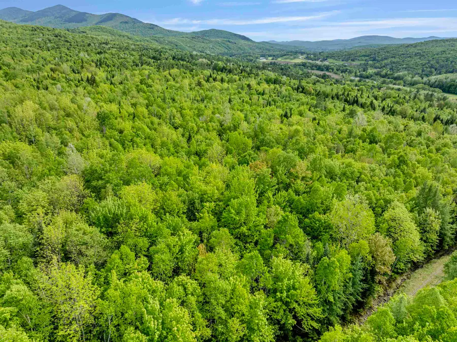 Lot 9 Off US Route 3, Columbia, NH 03576 - Image #2