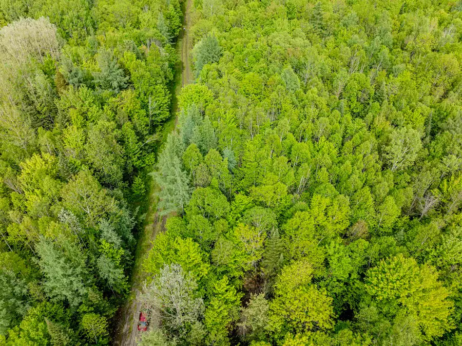 Lot 9 Off US Route 3, Columbia, NH 03576 - Image #3