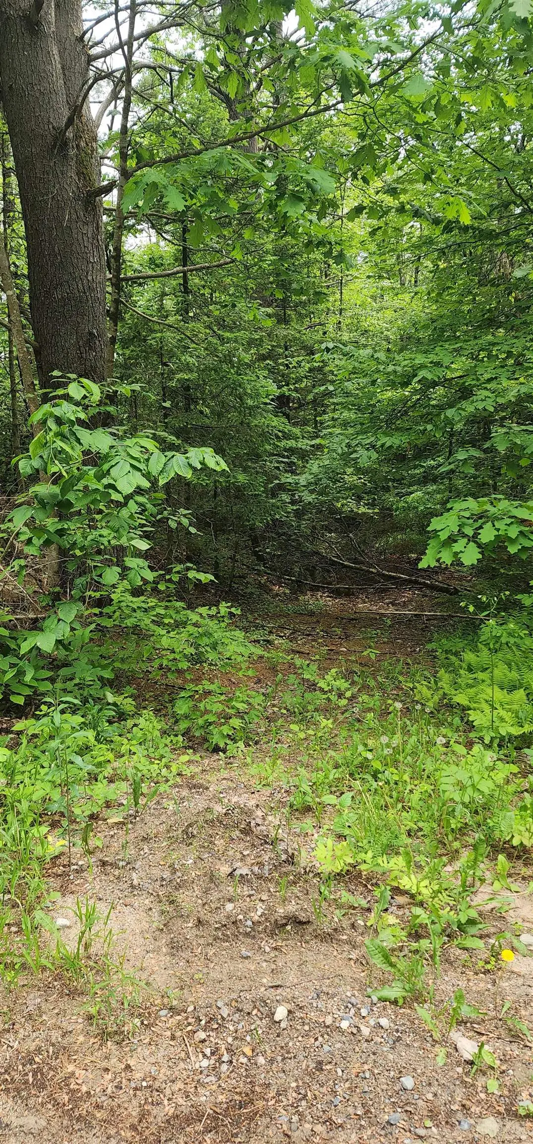 Pine Ridge Road #3, Middleton, NH 03887 - Image #1