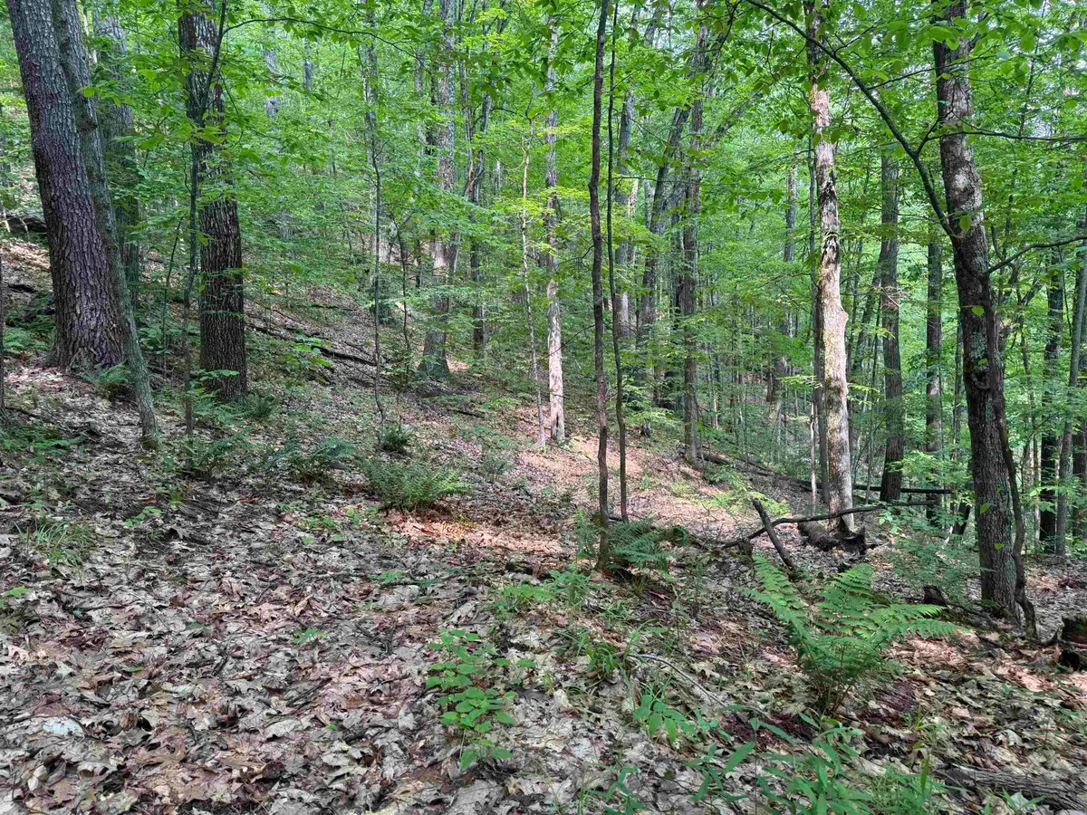 0 Ober Hill Road, Townshend, VT 05353 - Image #1