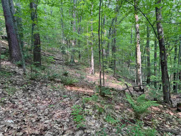 0 Ober Hill Road, Townshend, VT 05353