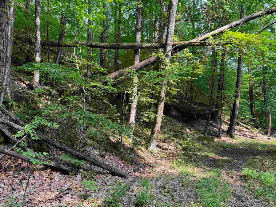 0 Ober Hill Road, Townshend, VT 05353 - Image #2