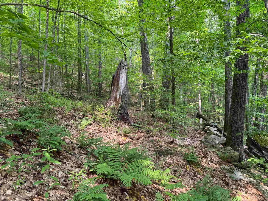 0 Ober Hill Road, Townshend, VT 05353 - Image #3