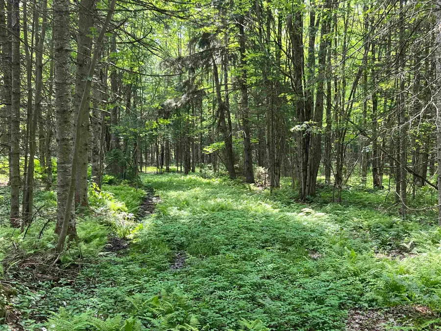 00 Guyette Road, Lowell Town, VT 05872 - Image #3