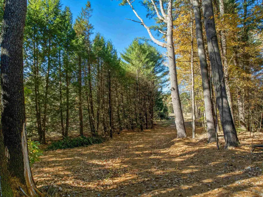 115 Adams Farm Road, Thornton, NH 03285 - Image #2