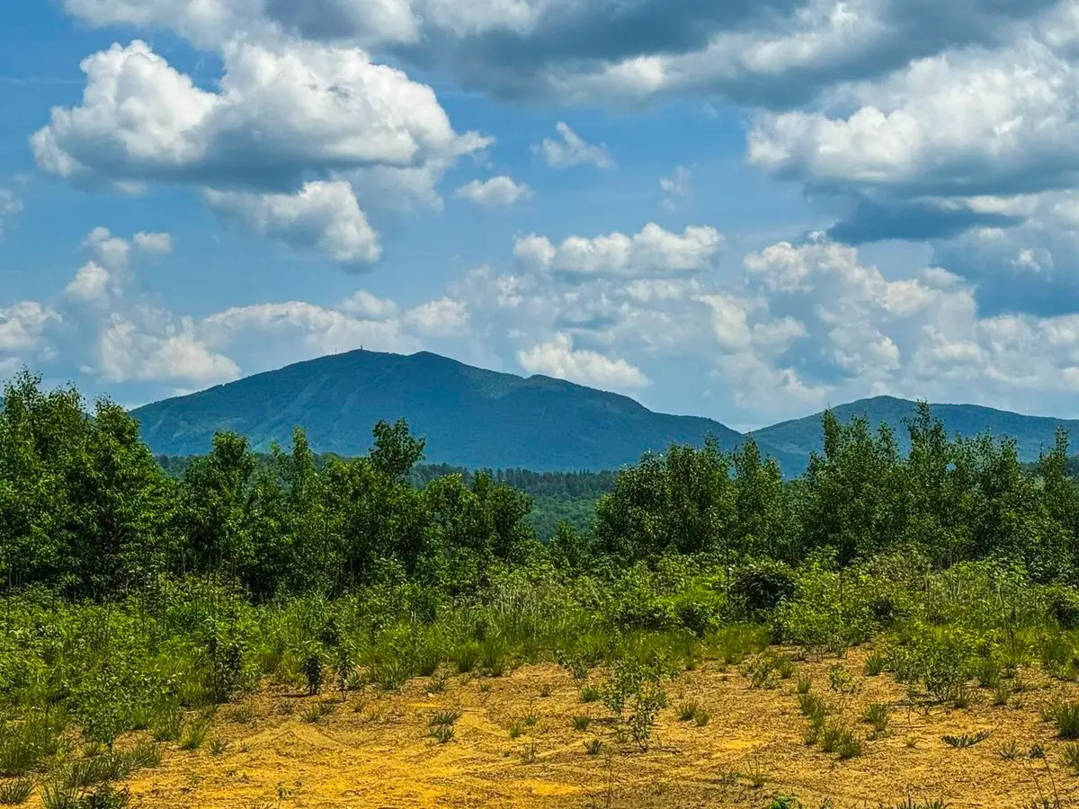 0 Lynburke Road #Lot 2, Burke, VT 05871 - Image #1