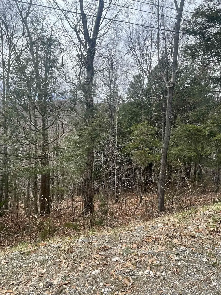 2-49 East Ash Road, Plymouth, VT 05056 - Image #2