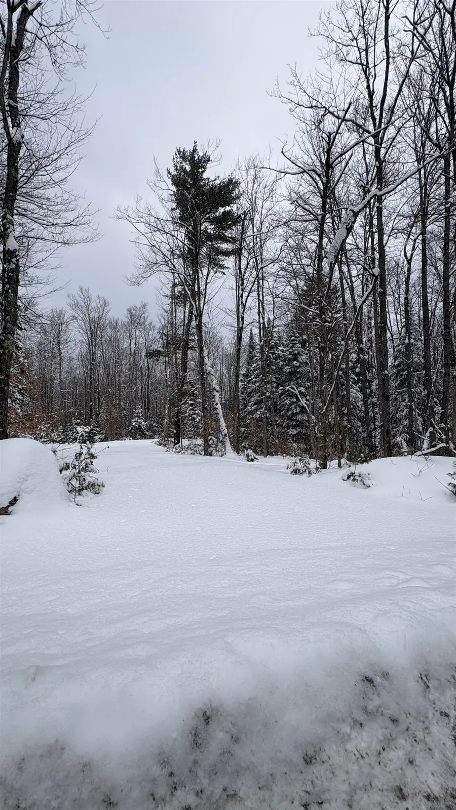 961 Maple Street, Bethlehem, NH 03574 - #2