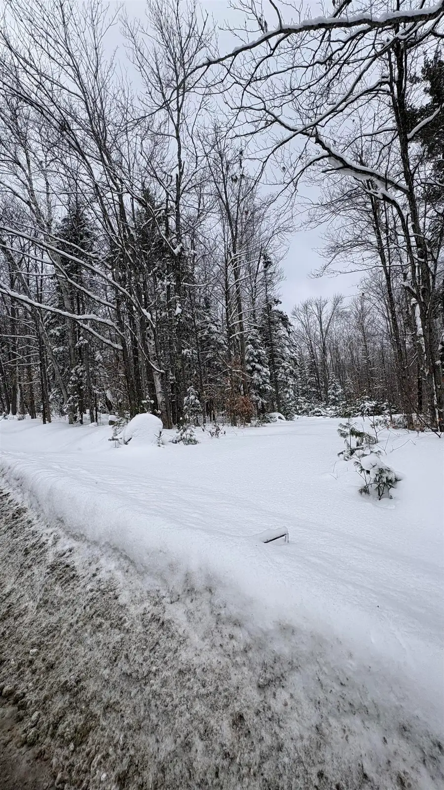 961 Maple Street, Bethlehem, NH 03574 - #3