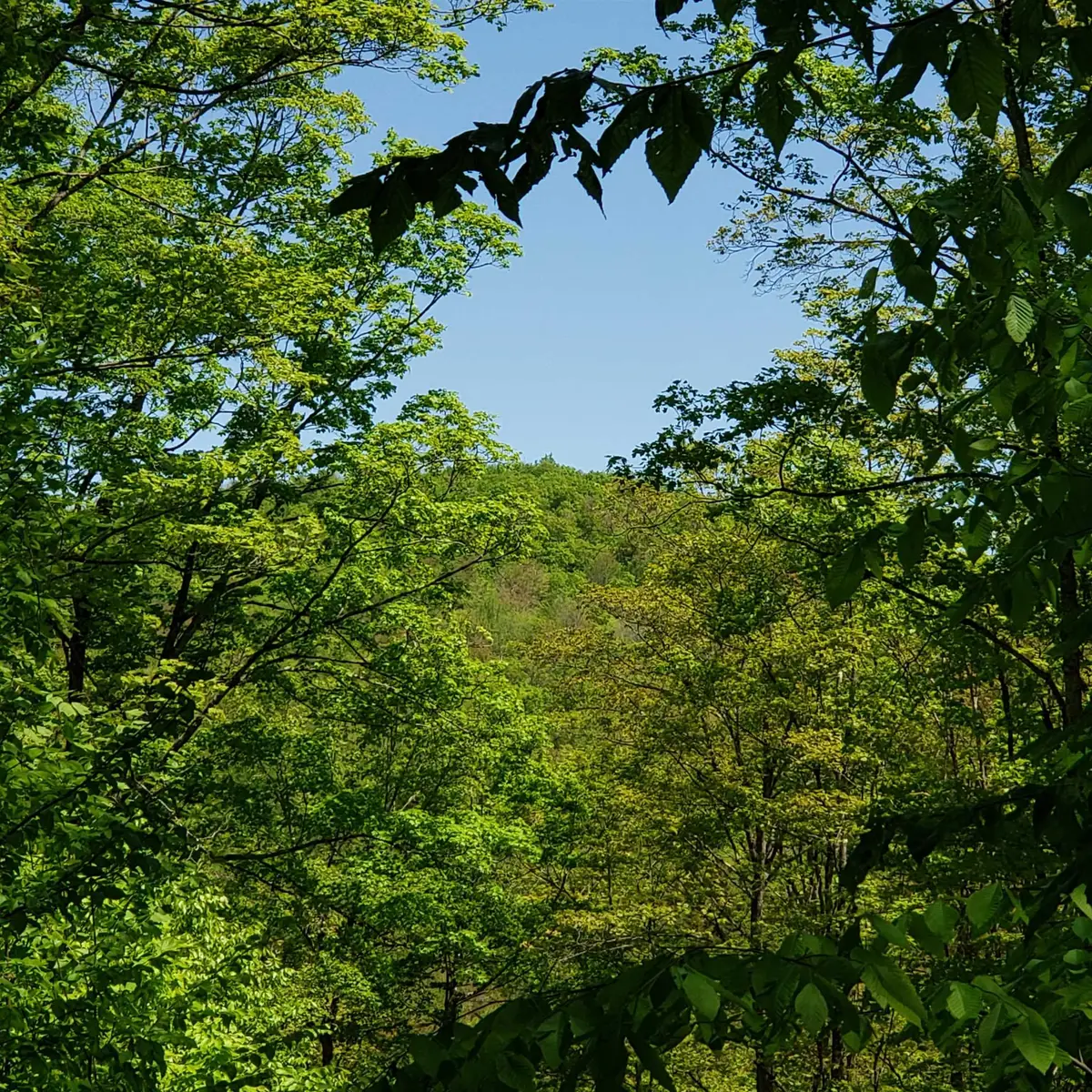 00 Beaver Meadow Road, Roxbury, VT 05669 - Image #1