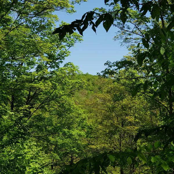 00 Beaver Meadow Road, Roxbury, VT 05669