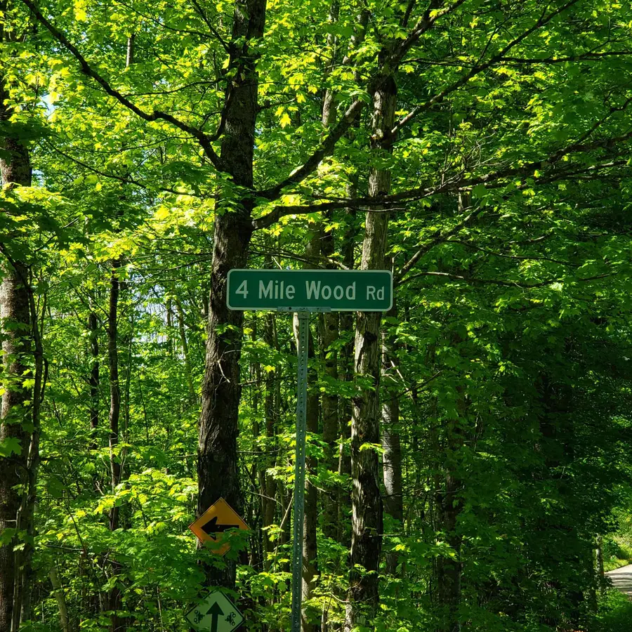 00 Beaver Meadow Road, Roxbury, VT 05669 - Image #2