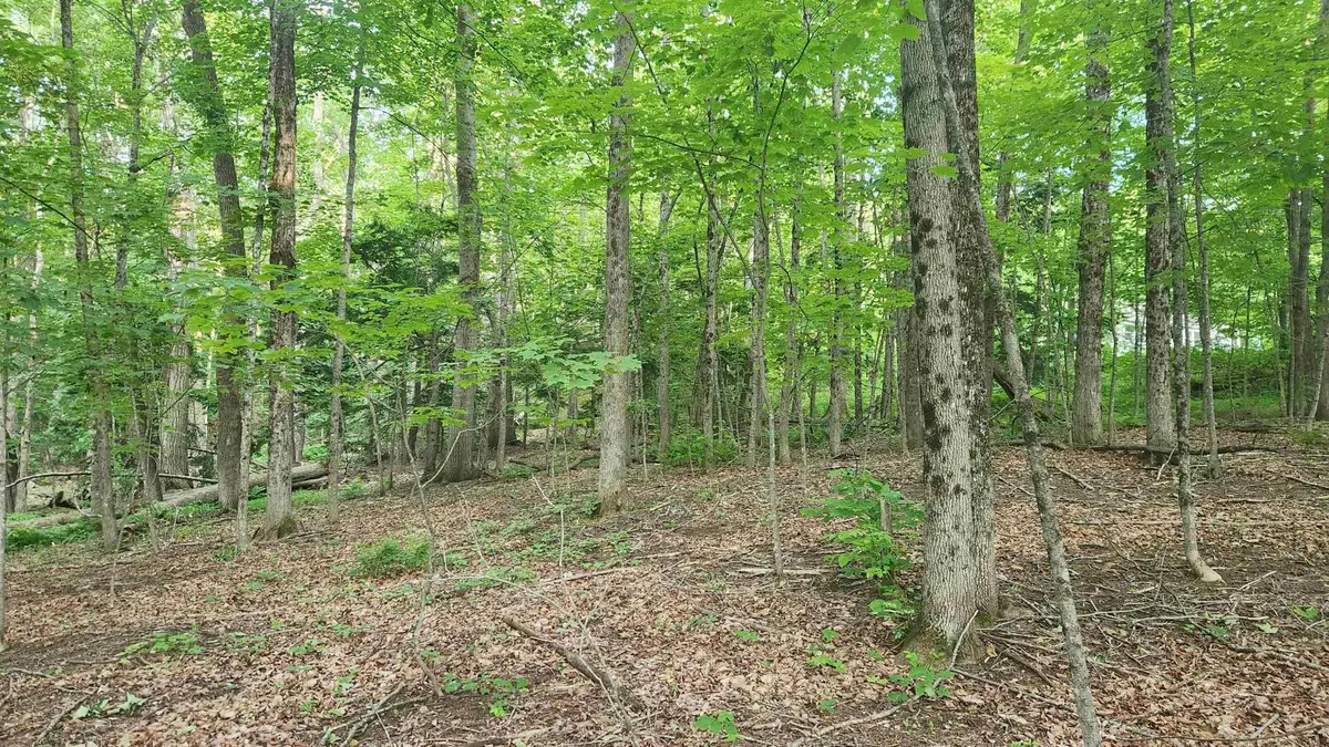 46-2 & 47 Route 153, Middleton, NH 03887 - Image #1