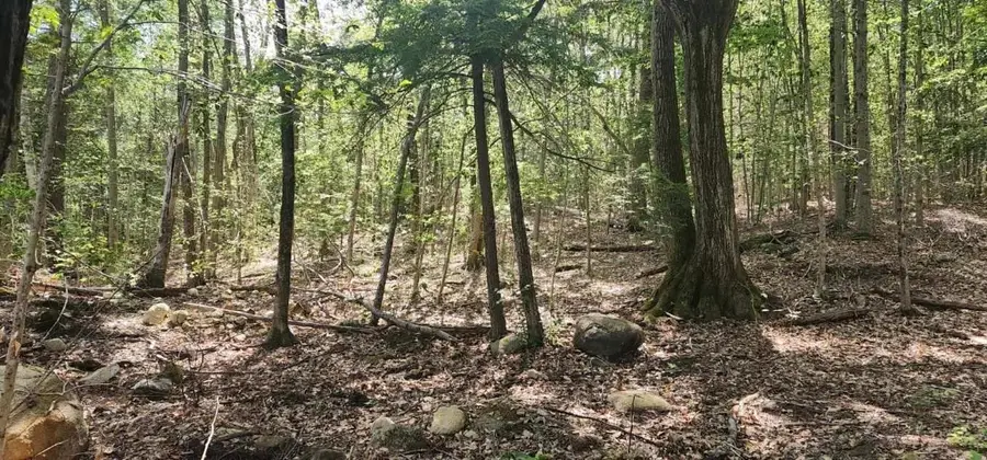 Map 223 lot 31 Access Road, Wakefield, NH 03872 - Image #2