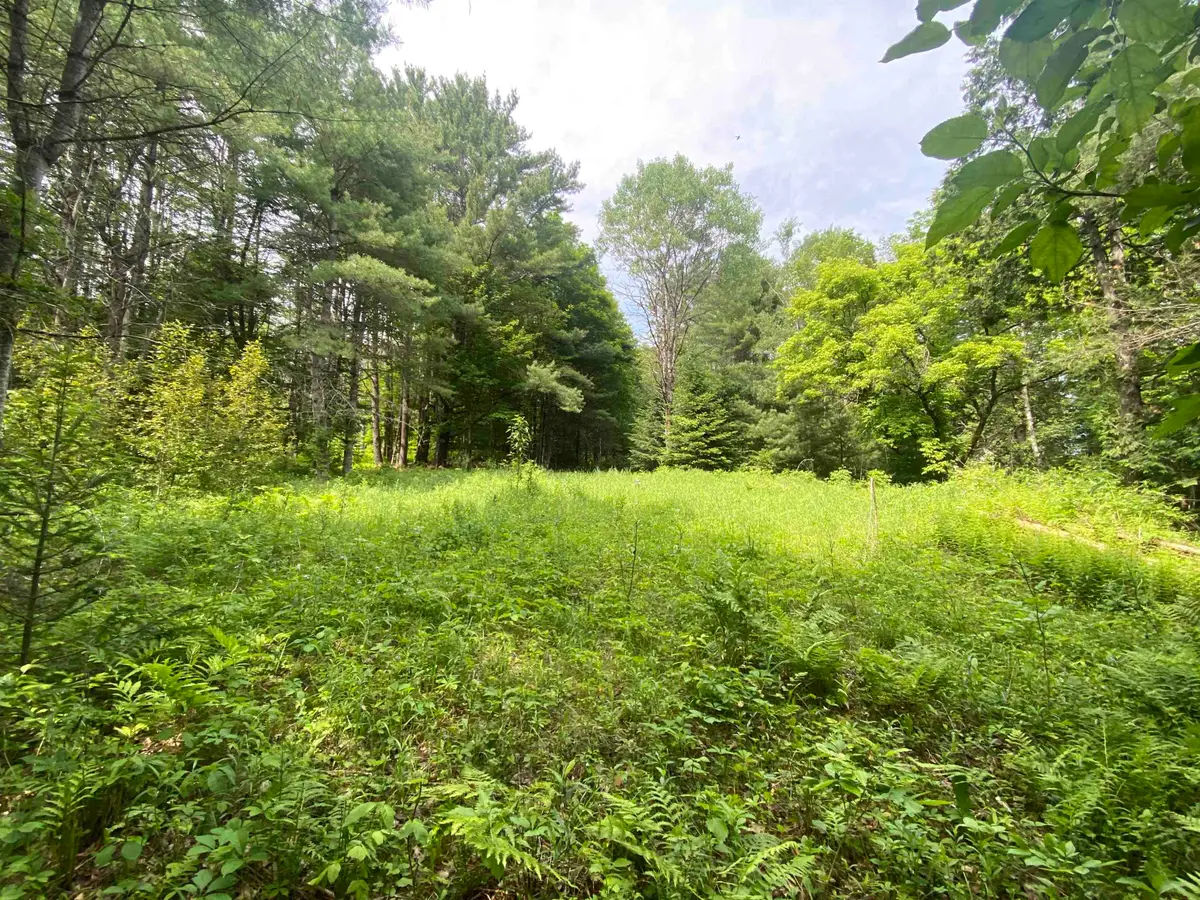 0 Simpson Brook Road, Waterford, VT 05848 - Image #1