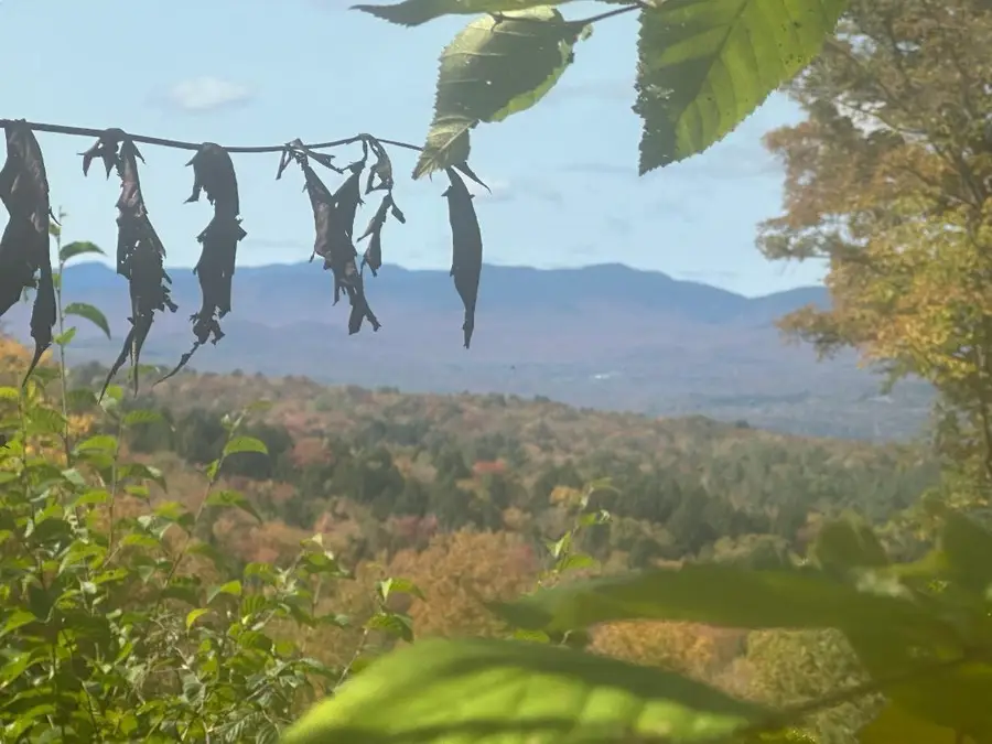 0 Brookview Lane, Wolcott, VT 05680 - Image #2