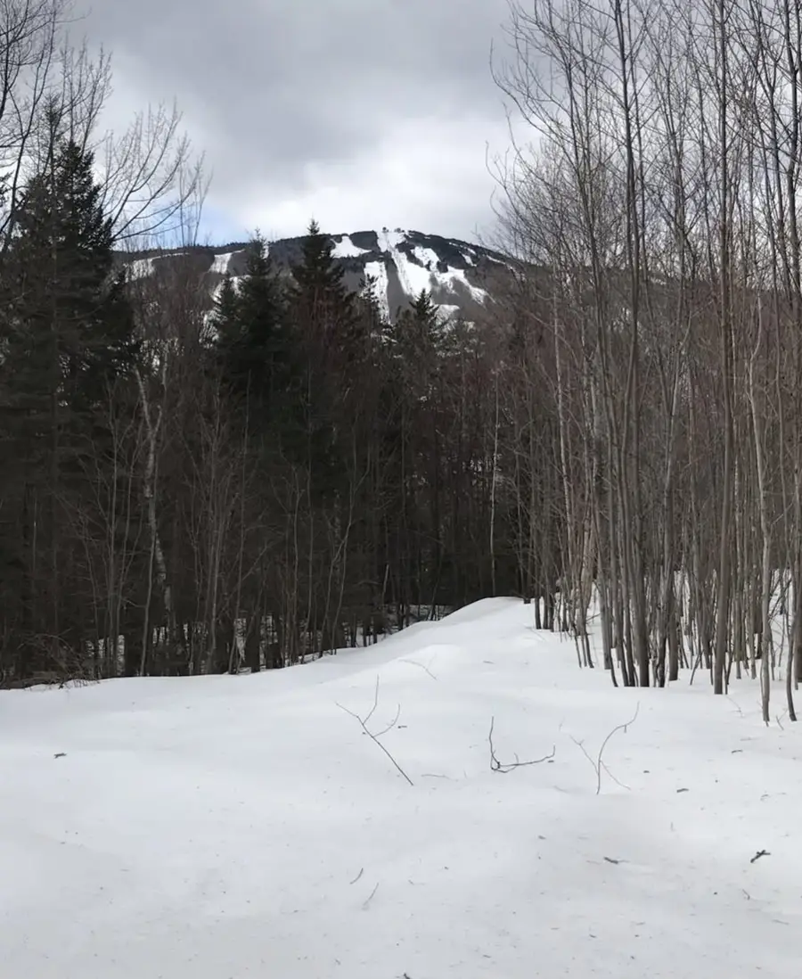 1 Pinnacle View Lane, Dover, VT 05356 - Image #3