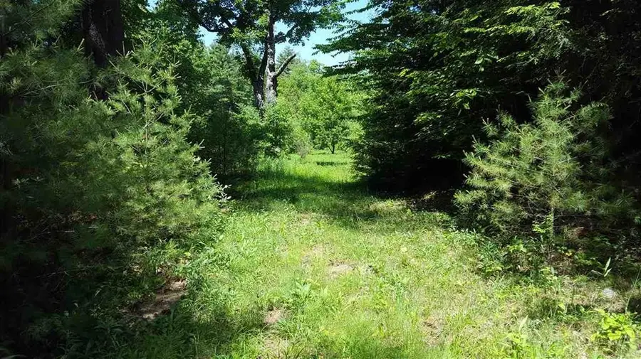 80 North Thetford Road, Lyme, NH 03768 - Image #2