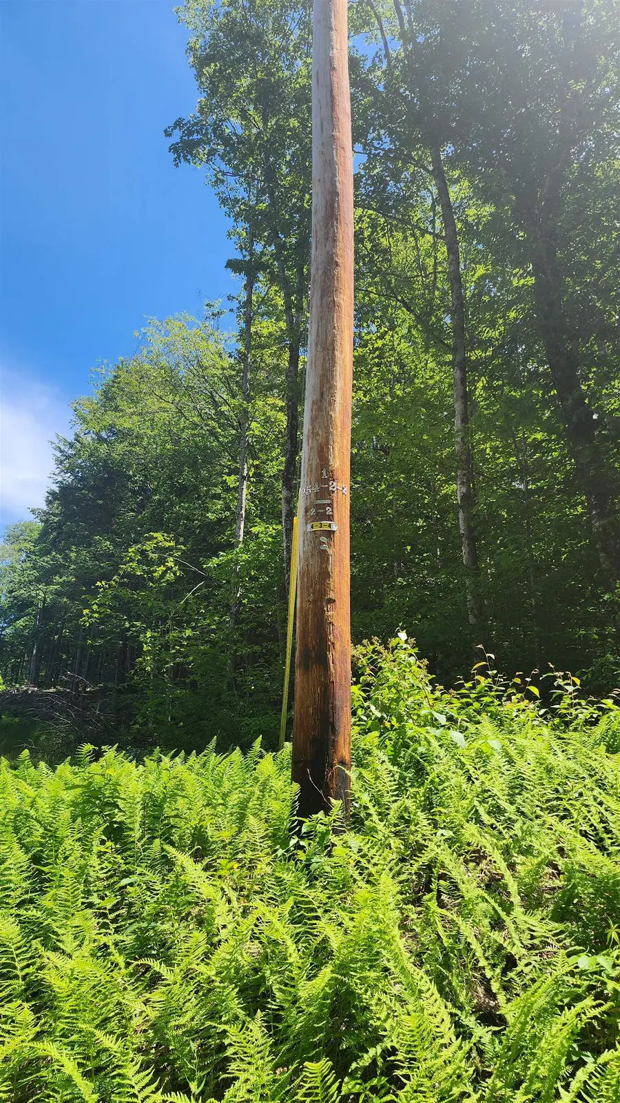 00 Hillcrest Road, Andover, VT 05143 - Image #3